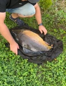 Zdjecie WhatsApp 2024 09 23 o 21.13.15 37b9f681